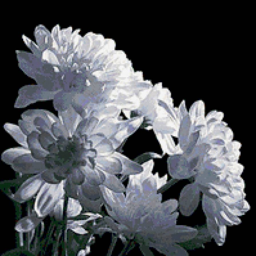 цветы - предпросмотр