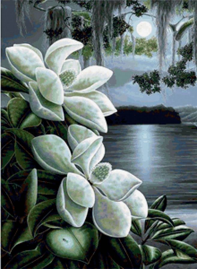 №263003 - предпросмотр