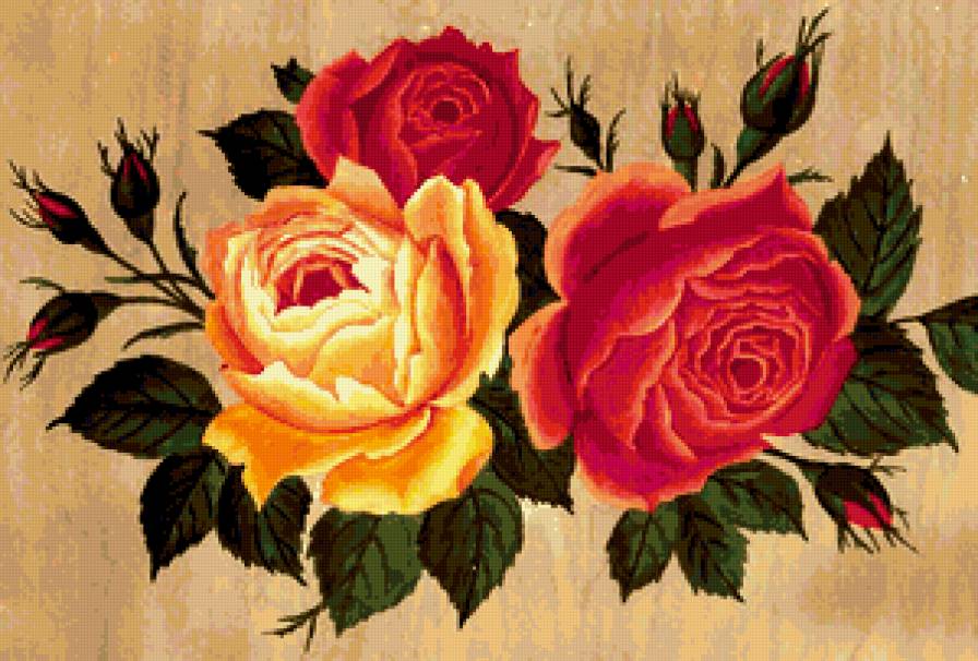 розы - предпросмотр