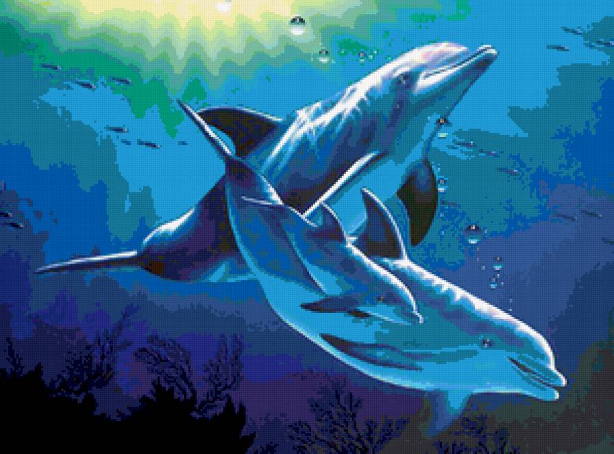 Семейство - дельфины, пейзаж, море, солнце, волны - предпросмотр