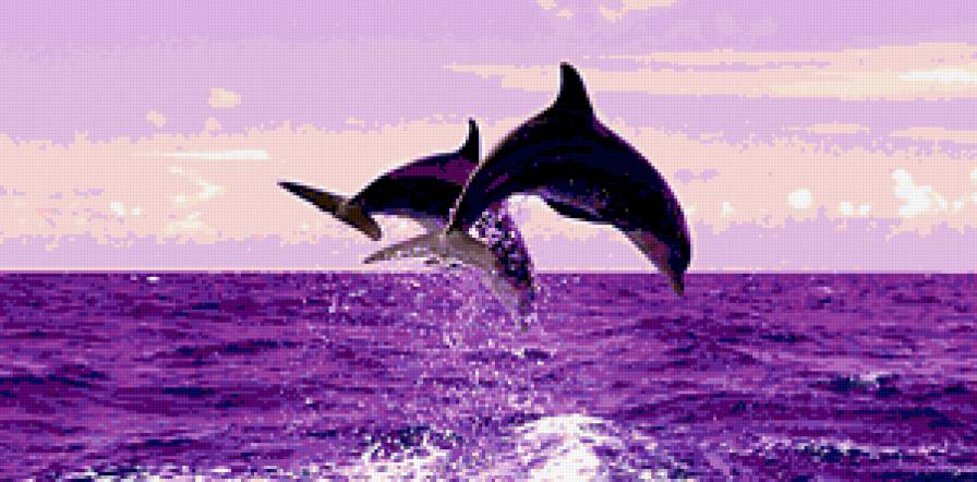 Вдвоём лучше - море, небо, волны, дельфины - предпросмотр