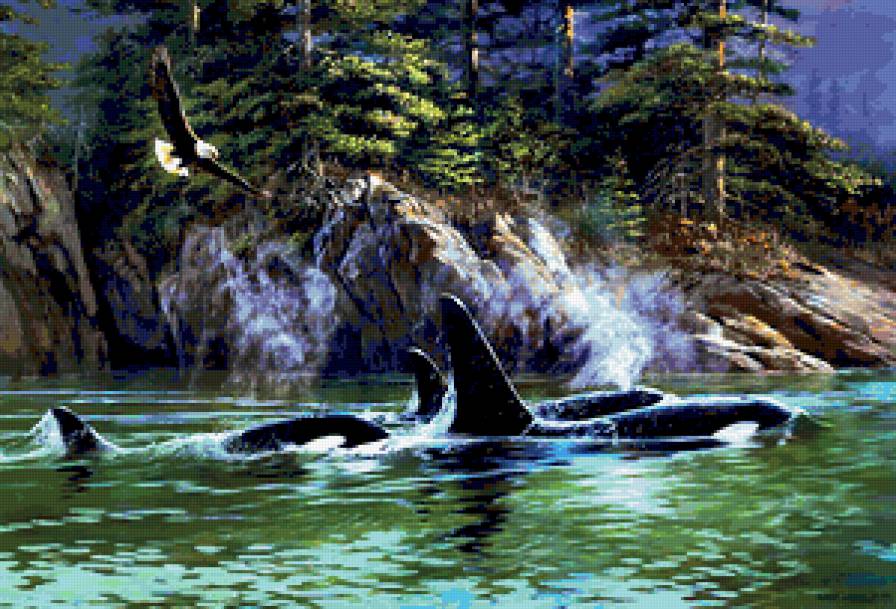 Дельфины в заливе - дельфины, лес, море, горы, птицы, волны - предпросмотр