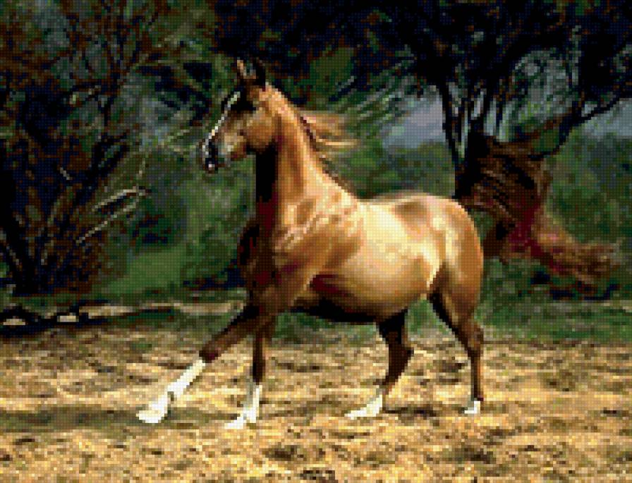 лошадь - лошадь - предпросмотр