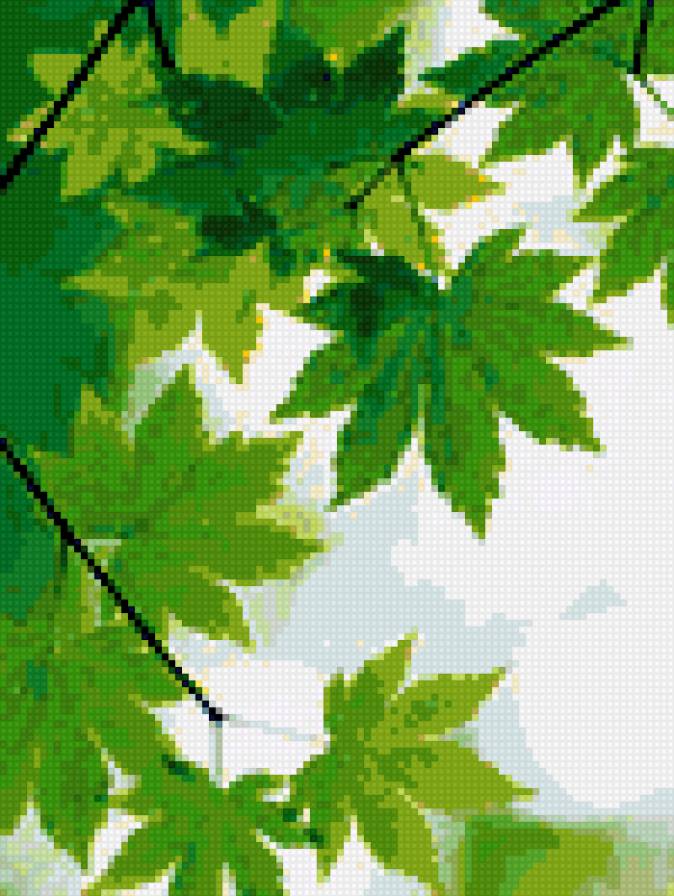 клeновыe листья - листья., природa - предпросмотр