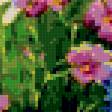 Предпросмотр схемы вышивки «полевые цветы» (№263410)