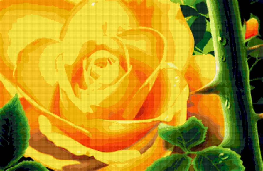 желтая роза - цветы - предпросмотр