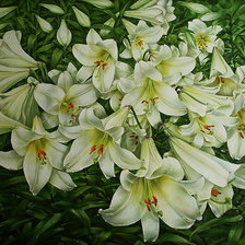 Схема вышивки «№263734»