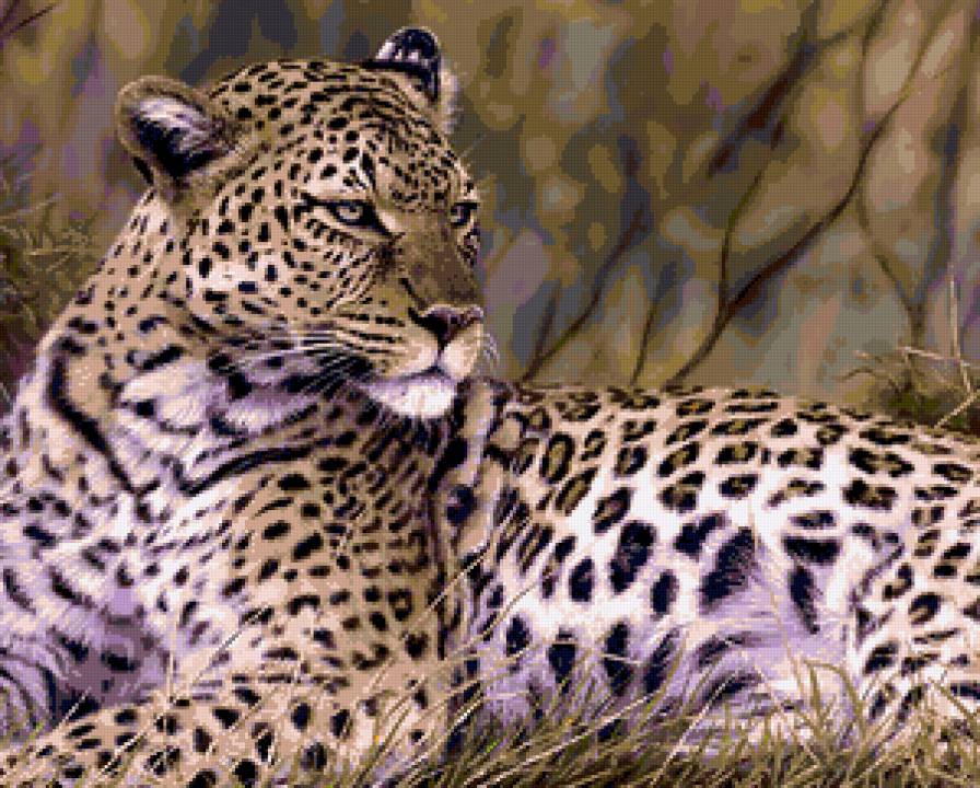 большая кошка - животные - предпросмотр