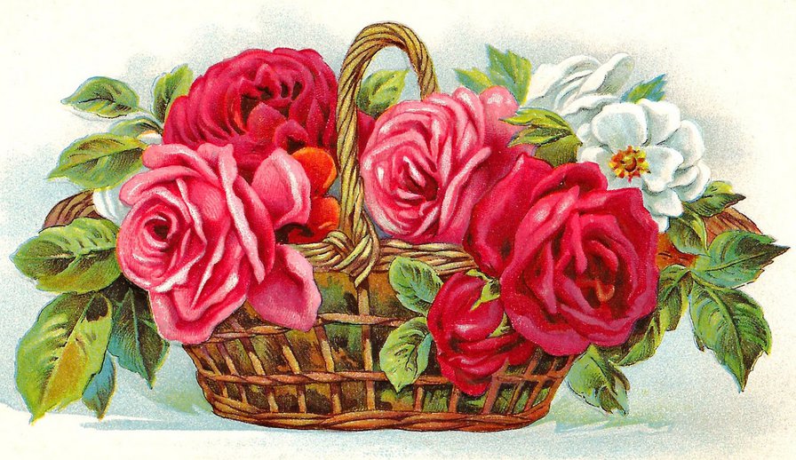 Корзина с розами - роза, душистые розы, розы, винтаж, розочки, корзина, ретро - оригинал