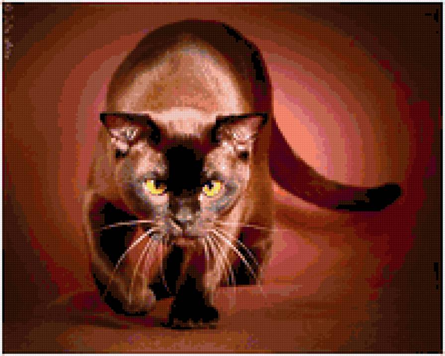 киса - предпросмотр