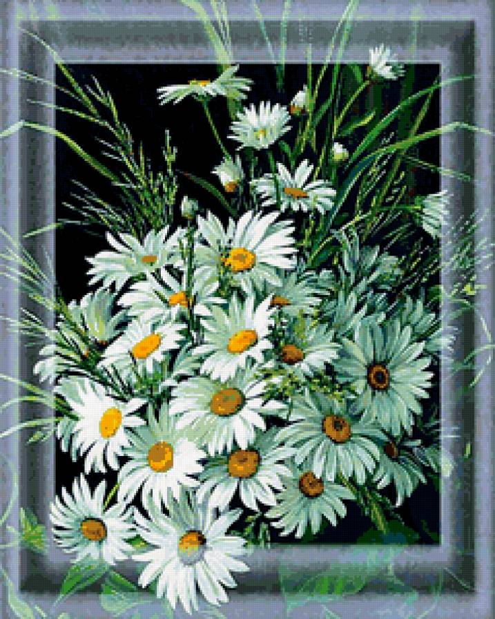 Ромашки - цветы, букет, ромашки - предпросмотр
