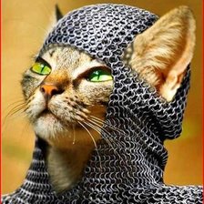 Схема вышивки «Котэ рыцарь»