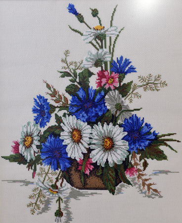 васельки ромашки - цветы ромашки васельки - оригинал