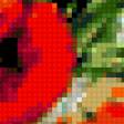 Предпросмотр схемы вышивки «маки» (№264167)