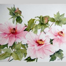 Схема вышивки «№264313»