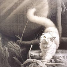 кот, Сюй Синьци