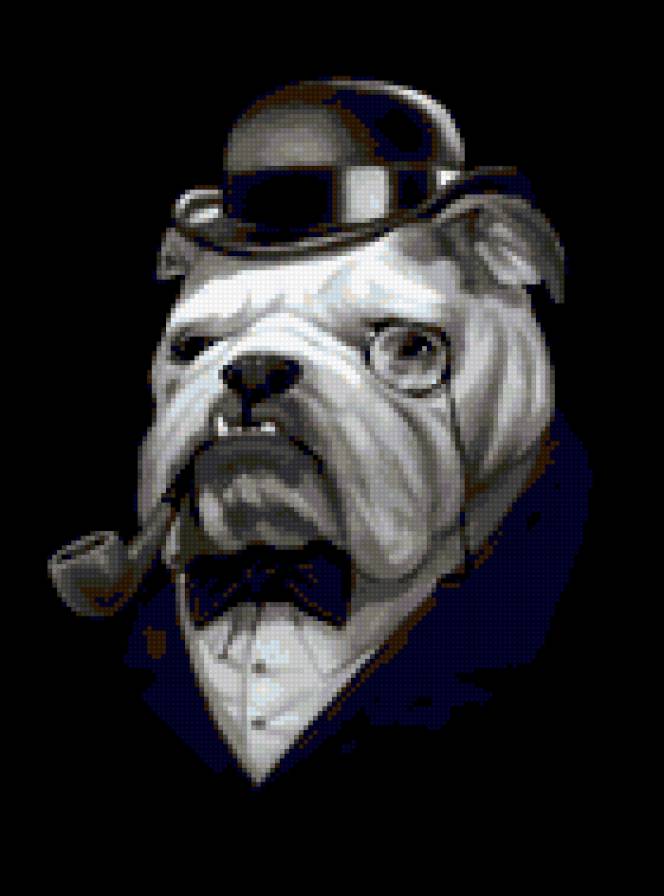 Сер бульдог - трубка, джентельмен, котелок, бульдог - предпросмотр