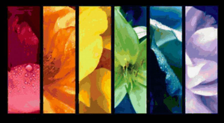 Цветы - желтый, цветы, ярко, розовый, фиолетовый, радуга, зеленый - предпросмотр