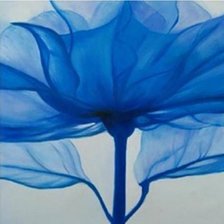 Схема вышивки «цветок»