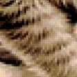 Предпросмотр схемы вышивки «Котёнок на ветке» (№264462)