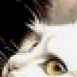 Предпросмотр схемы вышивки «Котёнок смотрящий в даль» (№264465)