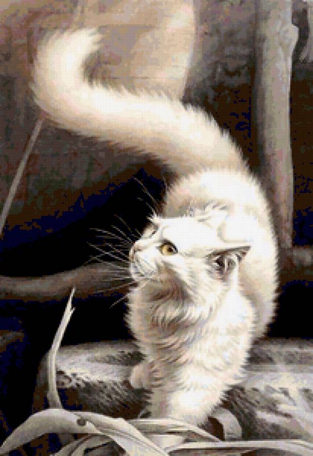 Котёнок смотрящий в даль - кошка, красивый, белые, картина, котенок - предпросмотр
