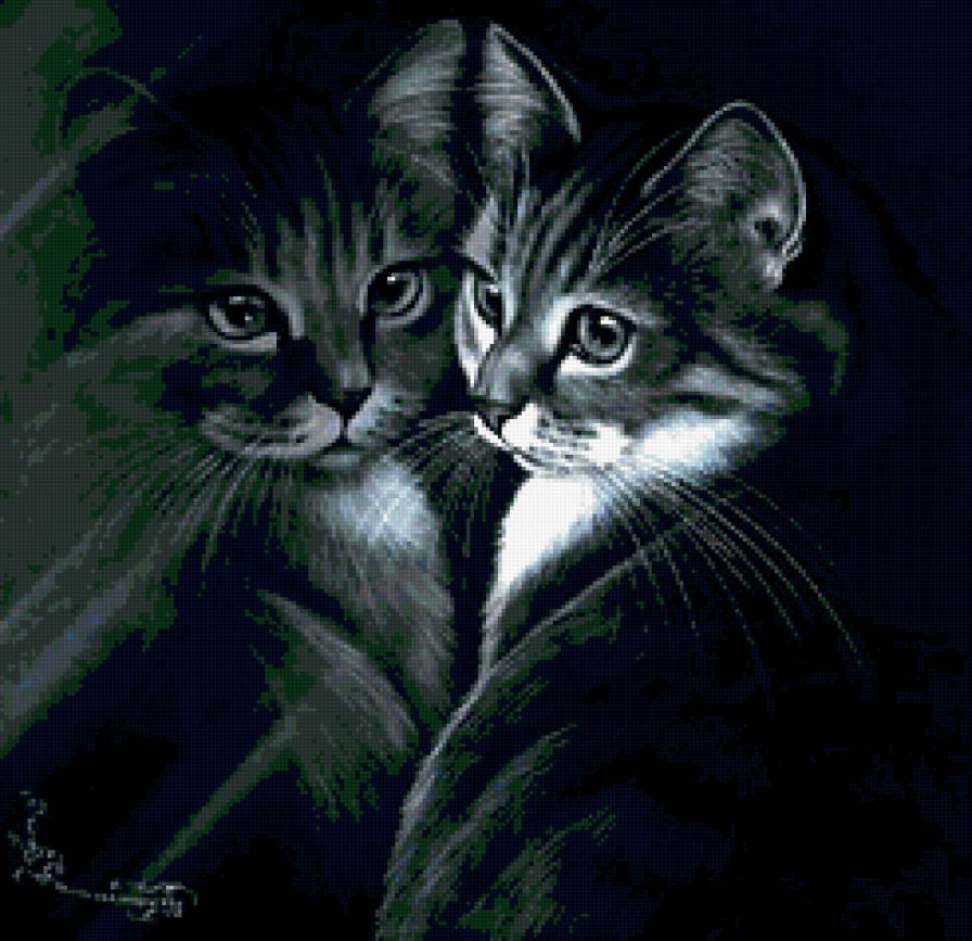 киса - животные, черно-белое, зеркало, кошка - предпросмотр