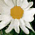 Предпросмотр схемы вышивки «ромашки» (№264481)