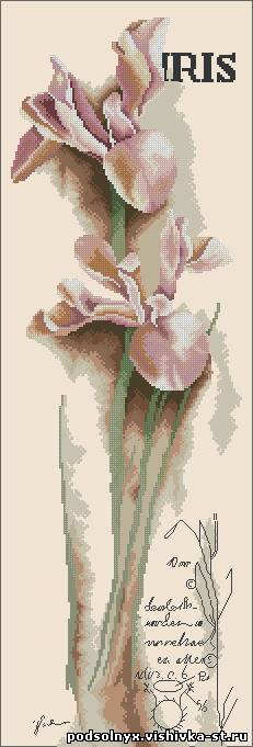 №264625 - оригинал