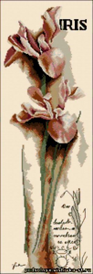 №264625 - предпросмотр