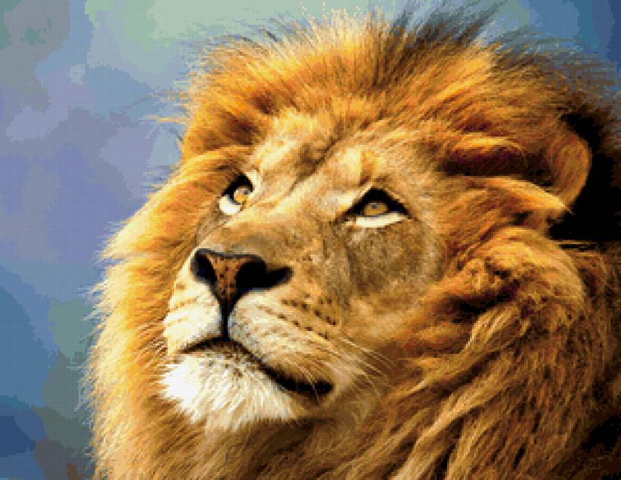 Лев - лев, животные - предпросмотр