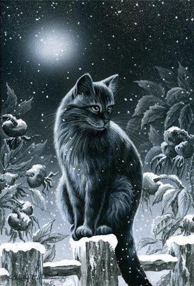 ночь - котенок, кот, кошка, луна, забор, шиповник, ночь - оригинал