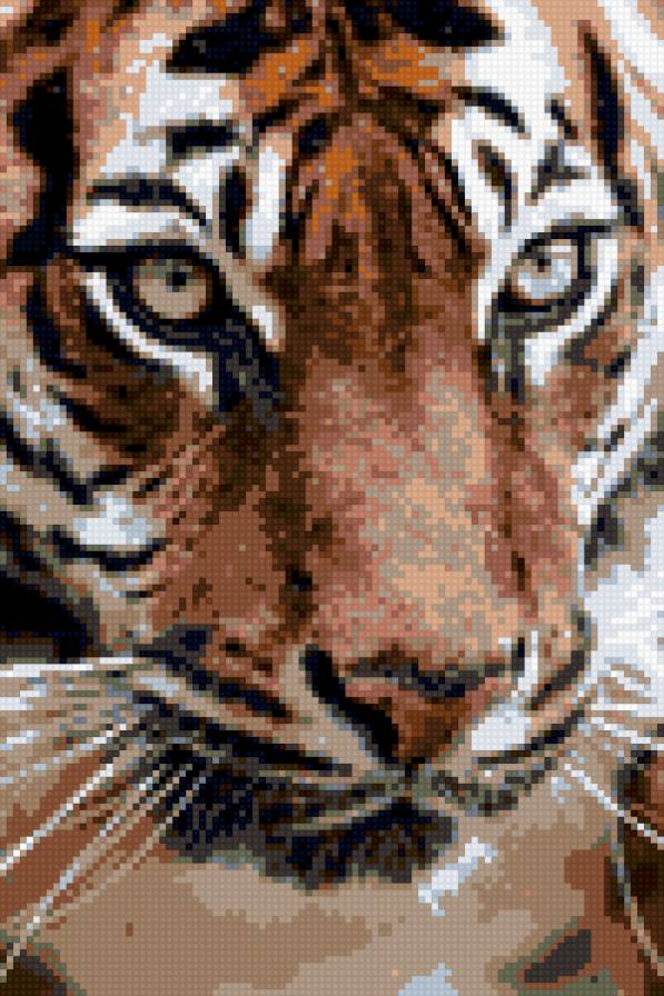 тигр - предпросмотр