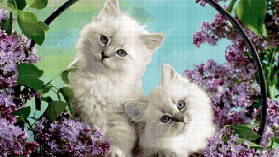 котята и сирень - животные - предпросмотр