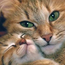 Схема вышивки «радость материнства»