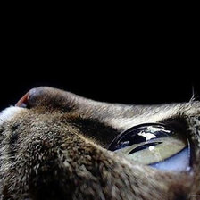 Схема вышивки «я»