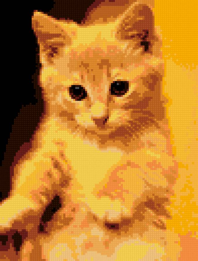 Митя - рыжий котенок - предпросмотр