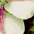 Предпросмотр схемы вышивки «Подушка "ЦВЕТЫ"» (№265213)