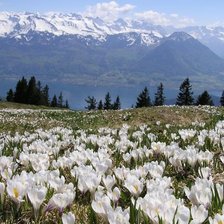 Схема вышивки «горы»