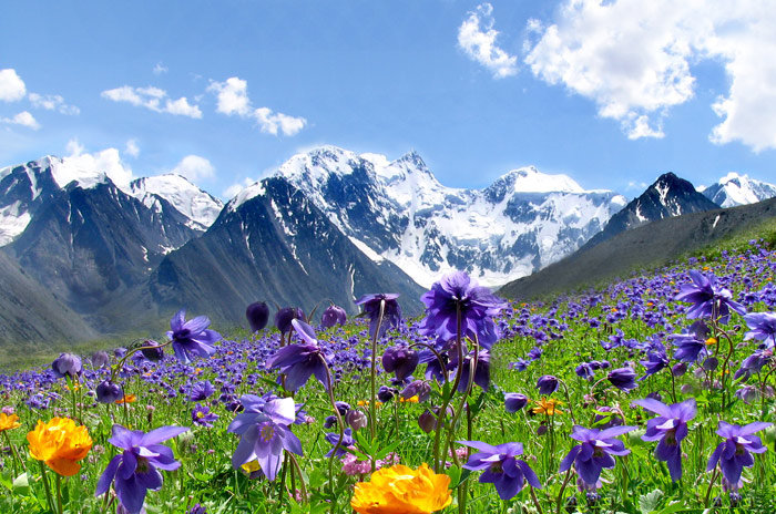 горы2 - оригинал