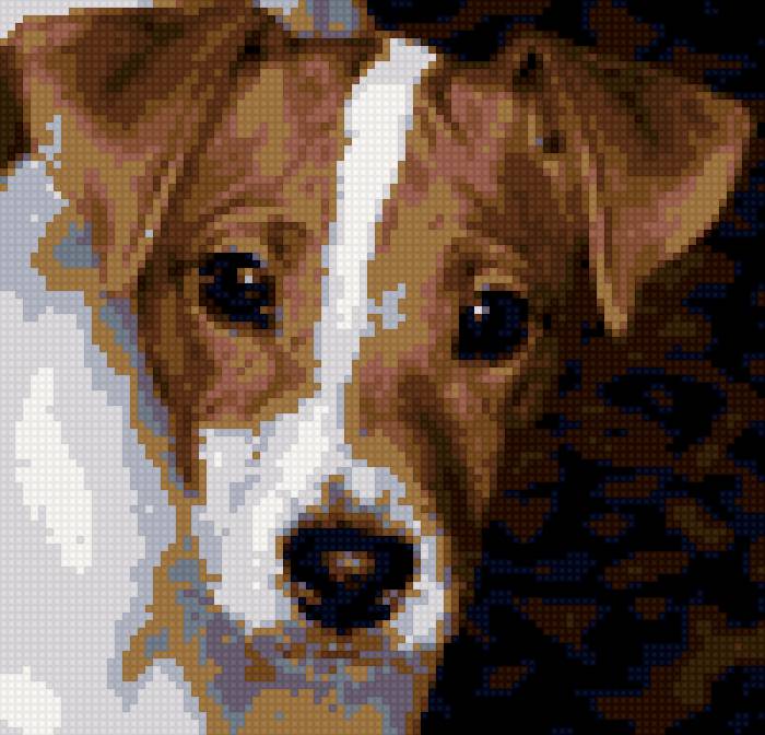 Федя - федя - предпросмотр