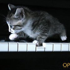 Оригинал схемы вышивки «котенок и пианино» (№265362)