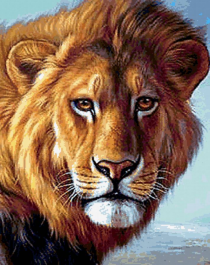Лев - лев, животные - предпросмотр