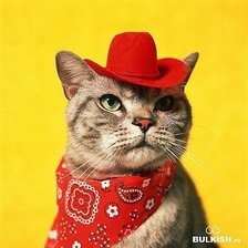 Схема вышивки «Ковбой.»