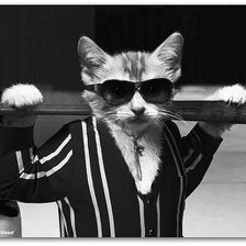 Схема вышивки «Я из бригады:-)»