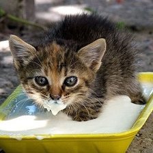 Схема вышивки «Ну голодный я:-)»