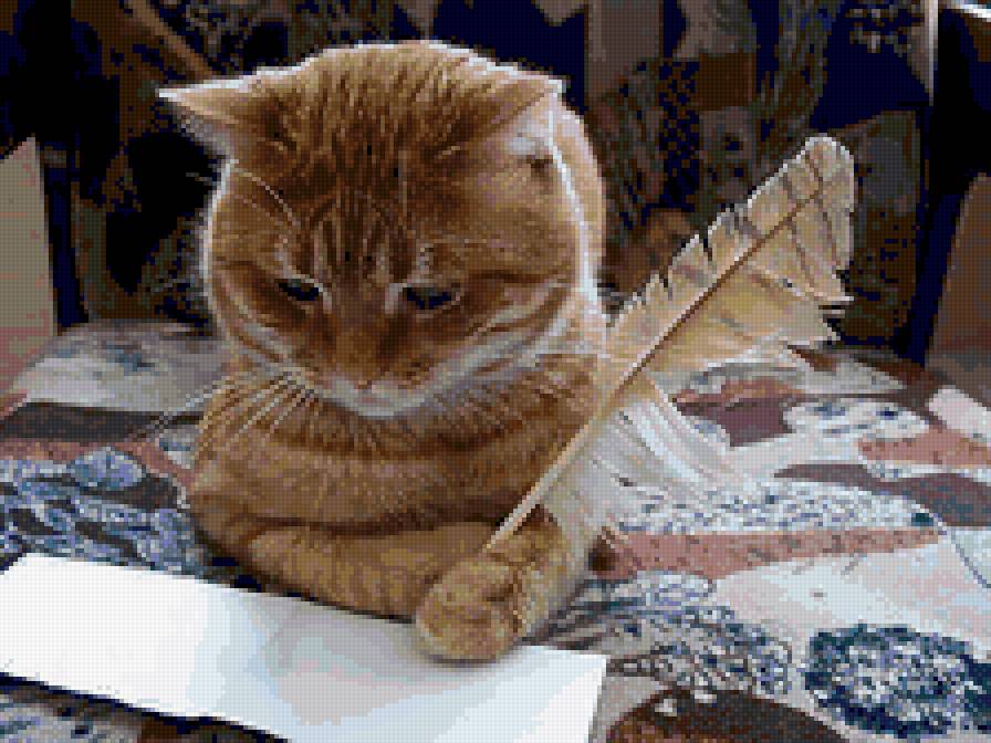 Кот-писатель. - кот - предпросмотр