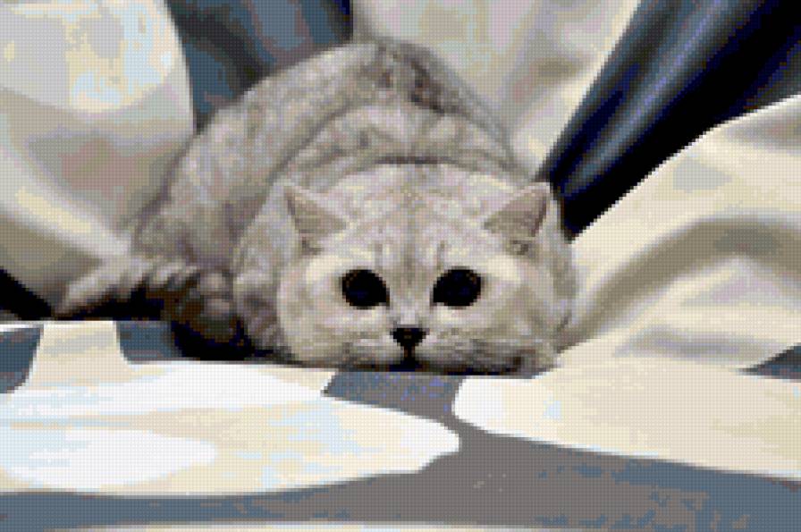 Тссс,я на охоте... - кот - предпросмотр