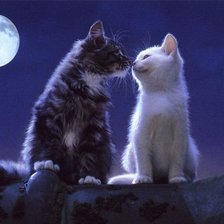 Схема вышивки «Свидание.»