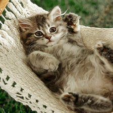 Схема вышивки «В гамаке.»